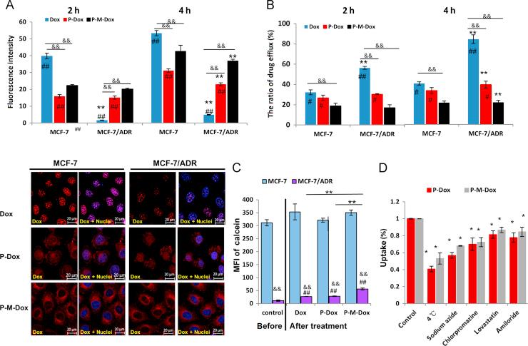 https://cdn.ncbi.nlm.nih.gov/pmc/blobs/7cef/6542785/ff23075db516/gr2.jpg