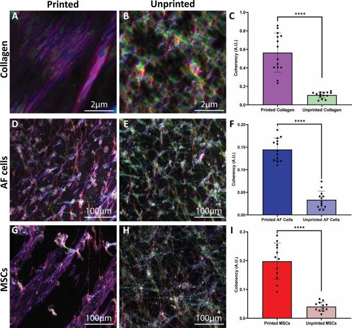 https://cdn.ncbi.nlm.nih.gov/pmc/blobs/7cf0/11499629/37d4962a9e86/bfad8379f6_hr.jpg