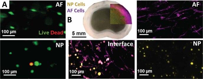https://cdn.ncbi.nlm.nih.gov/pmc/blobs/7cf0/11499629/43fab490b8a7/bfad8379f3_hr.jpg