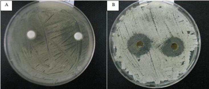 https://cdn.ncbi.nlm.nih.gov/pmc/blobs/7cf0/5747583/6b0dbefb1432/cmm-3-006-g002.jpg