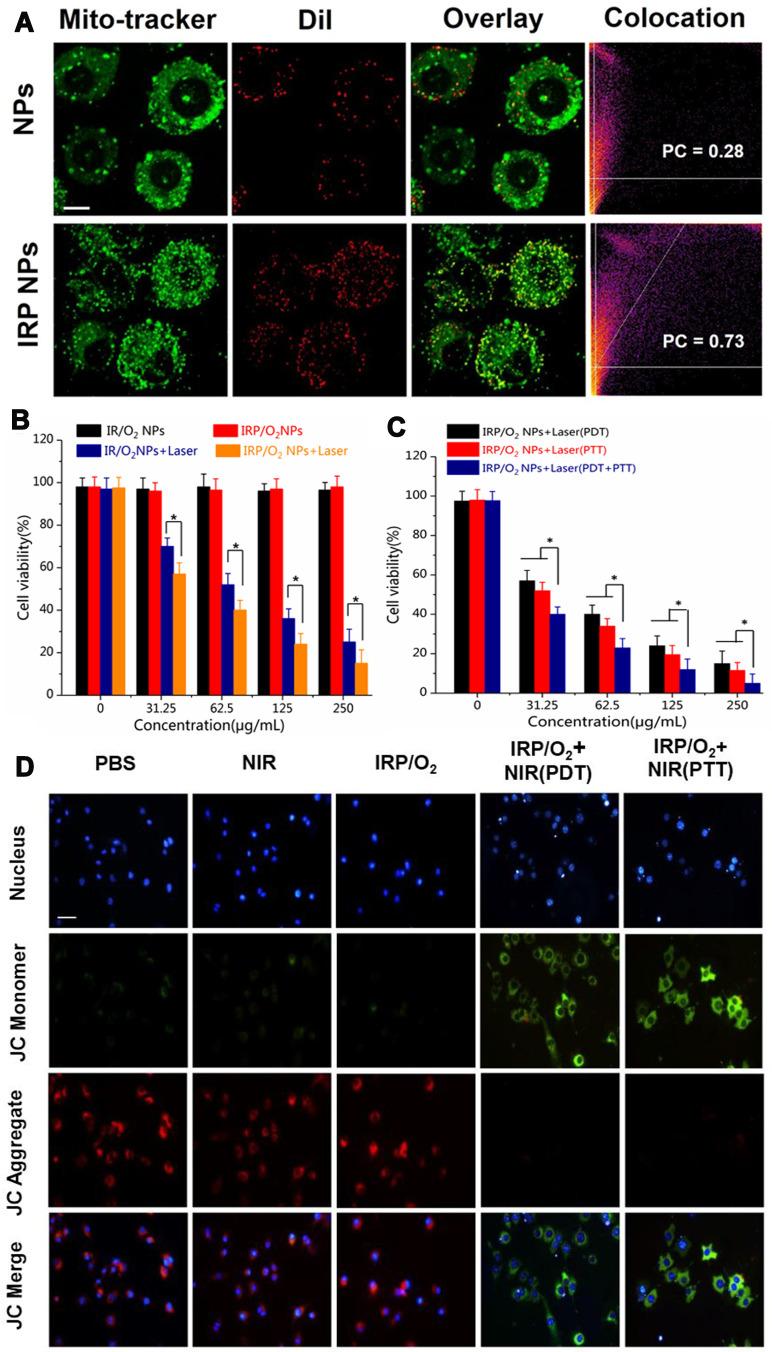 https://cdn.ncbi.nlm.nih.gov/pmc/blobs/7cf0/7652575/4bd5c74681ad/IJN-15-8641-g0005.jpg