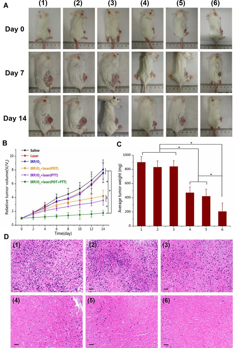 https://cdn.ncbi.nlm.nih.gov/pmc/blobs/7cf0/7652575/70481c73db00/IJN-15-8641-g0009.jpg