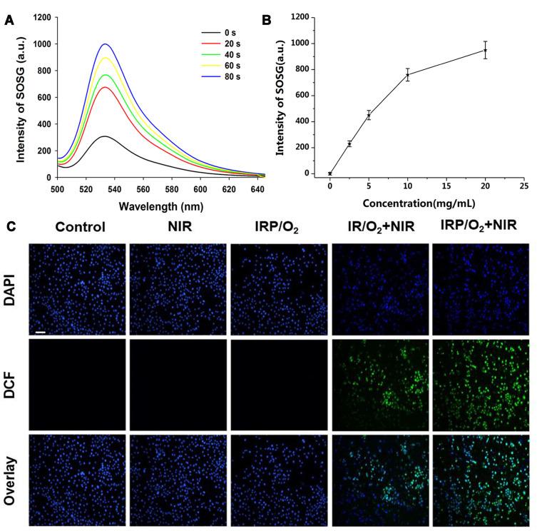 https://cdn.ncbi.nlm.nih.gov/pmc/blobs/7cf0/7652575/b5012b18dae4/IJN-15-8641-g0004.jpg