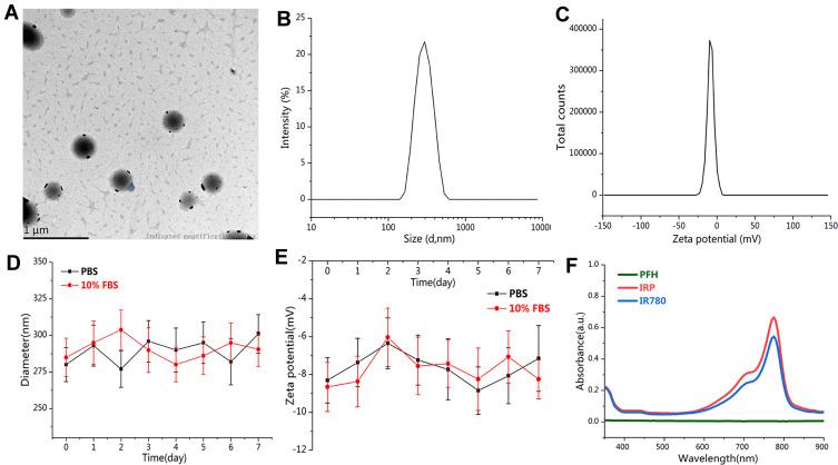 https://cdn.ncbi.nlm.nih.gov/pmc/blobs/7cf0/7652575/ede9e6efe483/IJN-15-8641-g0002.jpg