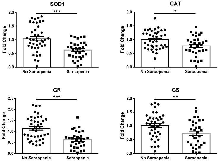 https://cdn.ncbi.nlm.nih.gov/pmc/blobs/7cf3/10669556/5ad9a95b21fb/antioxidants-12-01992-g001.jpg