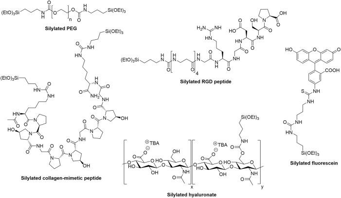 https://cdn.ncbi.nlm.nih.gov/pmc/blobs/7cf4/9592925/4ad302c785c4/fbioe-10-888437-g004.jpg