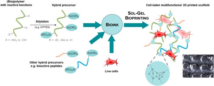 https://cdn.ncbi.nlm.nih.gov/pmc/blobs/7cf4/9592925/63df37cca3cb/fbioe-10-888437-g001.jpg