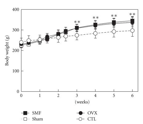 https://cdn.ncbi.nlm.nih.gov/pmc/blobs/7cf5/2952315/64c8299a5b29/ECAM2011-620984.003.jpg