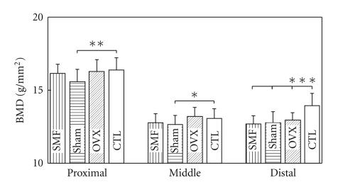 https://cdn.ncbi.nlm.nih.gov/pmc/blobs/7cf5/2952315/b2bfef76b77d/ECAM2011-620984.005.jpg