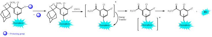 https://cdn.ncbi.nlm.nih.gov/pmc/blobs/7cf6/10136088/3e23b2ee2dd3/biosensors-13-00452-sch010.jpg