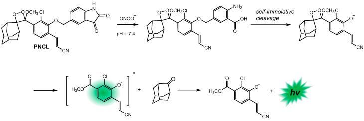 https://cdn.ncbi.nlm.nih.gov/pmc/blobs/7cf6/10136088/432e68e54db0/biosensors-13-00452-sch011.jpg