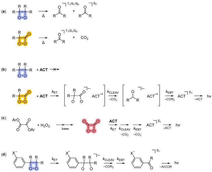 https://cdn.ncbi.nlm.nih.gov/pmc/blobs/7cf6/10136088/4da2496e6c89/biosensors-13-00452-sch003.jpg