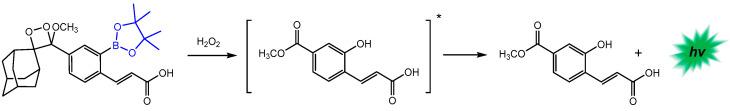 https://cdn.ncbi.nlm.nih.gov/pmc/blobs/7cf6/10136088/9c2696fcd3ee/biosensors-13-00452-sch015.jpg