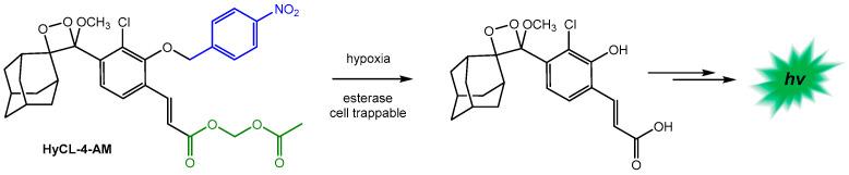 https://cdn.ncbi.nlm.nih.gov/pmc/blobs/7cf6/10136088/b0123e025b49/biosensors-13-00452-sch013.jpg