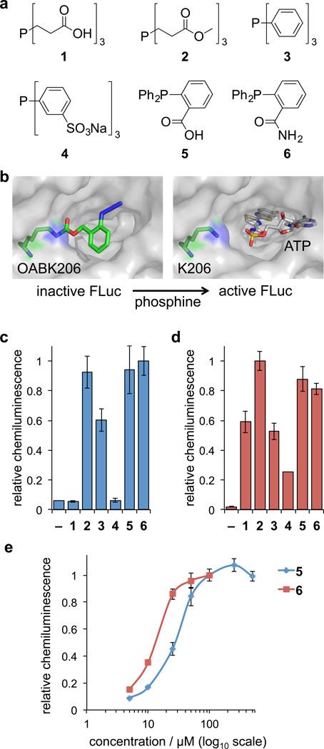 https://cdn.ncbi.nlm.nih.gov/pmc/blobs/7cf7/5119652/2256c270fbab/nihms795285f3.jpg