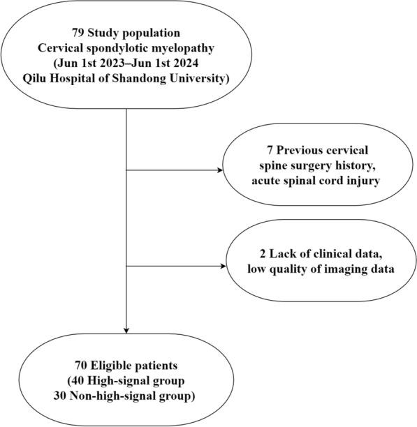 https://cdn.ncbi.nlm.nih.gov/pmc/blobs/7cf9/11983776/89fa54034a7a/13018_2025_5715_Fig1_HTML.jpg