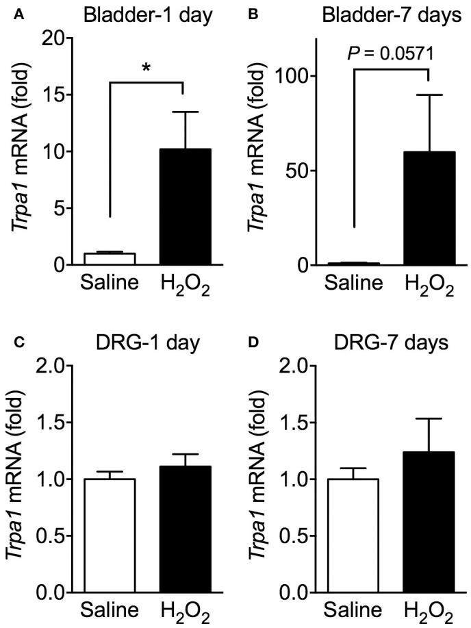 https://cdn.ncbi.nlm.nih.gov/pmc/blobs/7cf9/5715365/e3cced0b78a3/fphys-08-00877-g0005.jpg