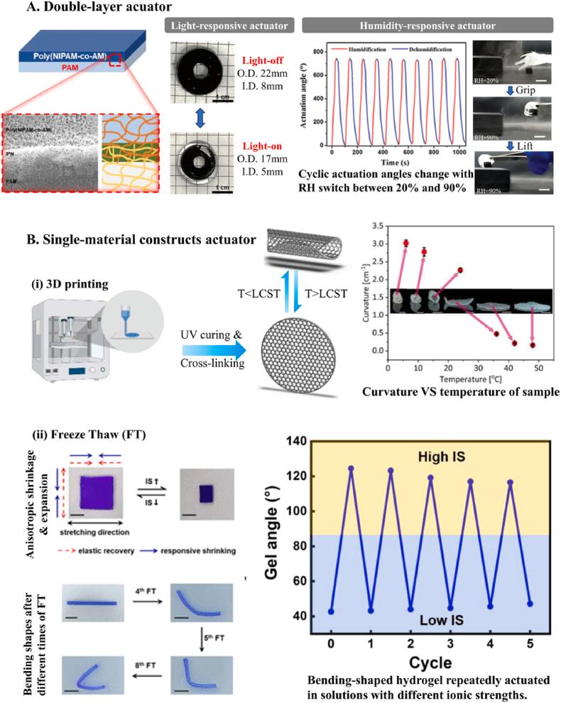 https://cdn.ncbi.nlm.nih.gov/pmc/blobs/7cfc/10882133/5715ceb22d7b/gr9.jpg