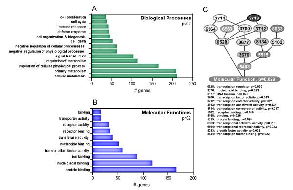 https://cdn.ncbi.nlm.nih.gov/pmc/blobs/7cfc/2533023/44750683bf92/1471-2164-9-376-3.jpg