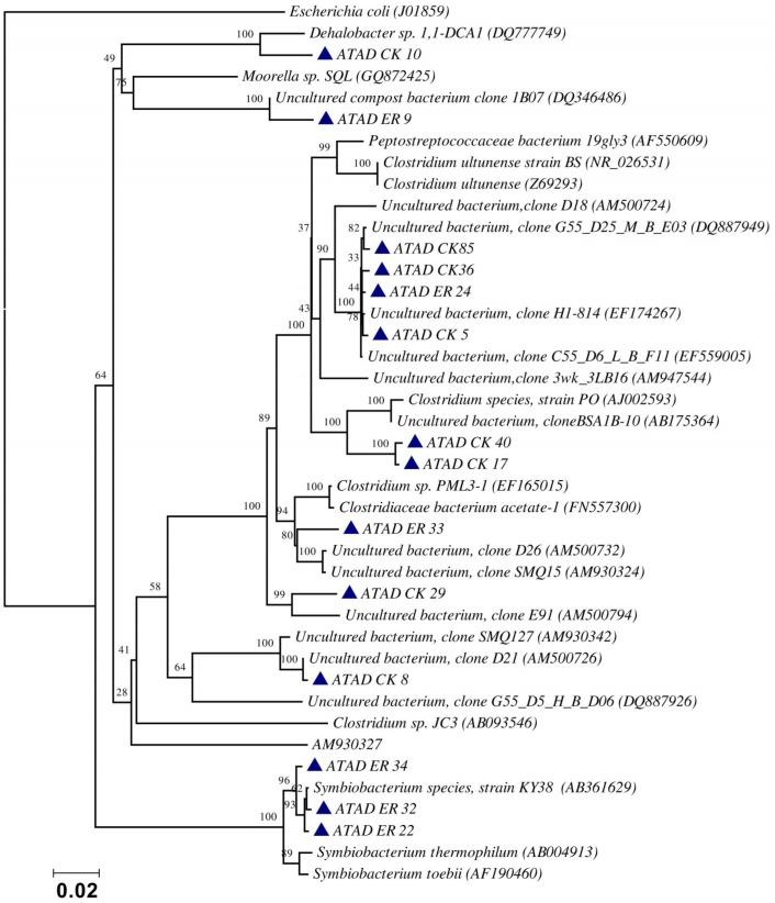 https://cdn.ncbi.nlm.nih.gov/pmc/blobs/7cff/6722850/826bb98c3ede/microorganisms-07-00215-g001.jpg