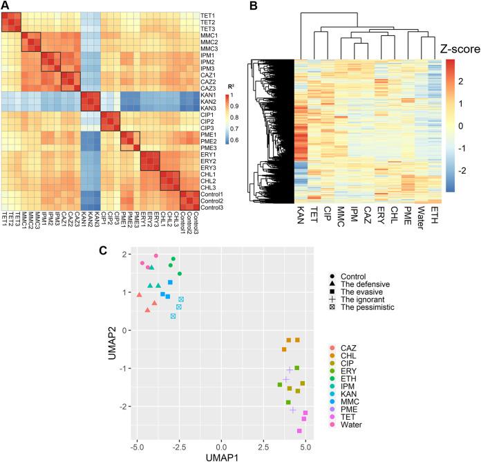 https://cdn.ncbi.nlm.nih.gov/pmc/blobs/7d01/10100721/28d0c634e502/spectrum.00317-23-f001.jpg