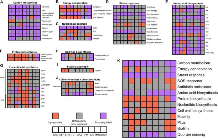 https://cdn.ncbi.nlm.nih.gov/pmc/blobs/7d01/10100721/9e21566831c8/spectrum.00317-23-f002.jpg