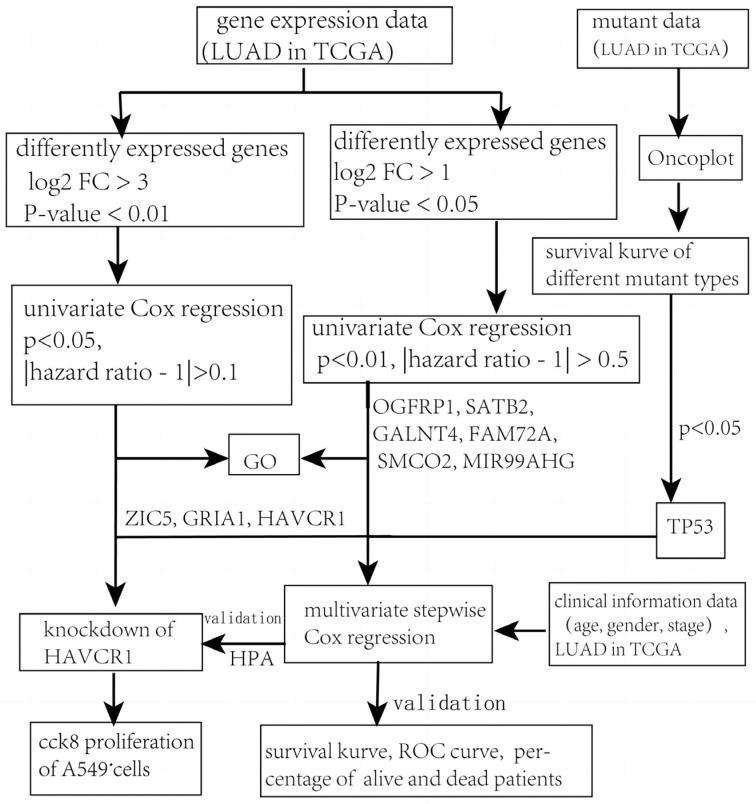 https://cdn.ncbi.nlm.nih.gov/pmc/blobs/7d01/10252847/7064de4dfa7d/diagnostics-13-01914-g001.jpg