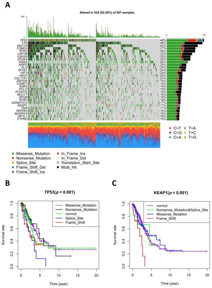 https://cdn.ncbi.nlm.nih.gov/pmc/blobs/7d01/10252847/b32605cf0ca0/diagnostics-13-01914-g003.jpg