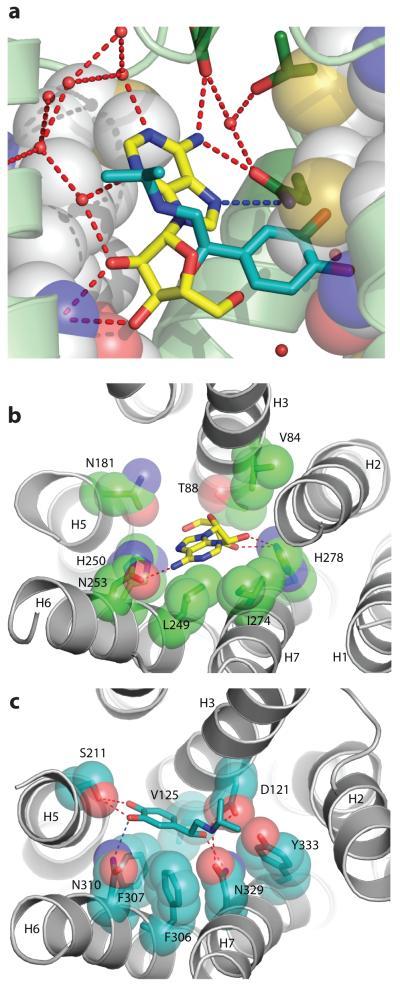 https://cdn.ncbi.nlm.nih.gov/pmc/blobs/7d01/3146096/d1252595a2d7/ukmss-36016-f0004.jpg