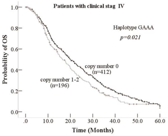 https://cdn.ncbi.nlm.nih.gov/pmc/blobs/7d03/5688932/16c529d3b549/jcav08p3785g002.jpg