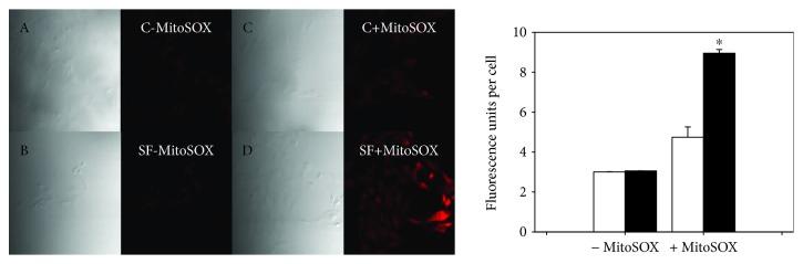 https://cdn.ncbi.nlm.nih.gov/pmc/blobs/7d04/6323422/384c77e58490/OMCL2018-5835072.005.jpg