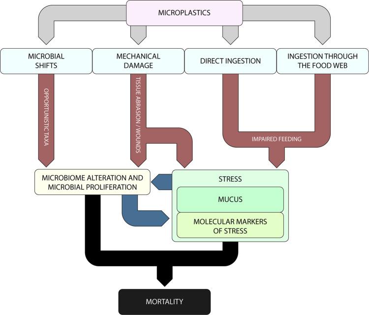 https://cdn.ncbi.nlm.nih.gov/pmc/blobs/7d0b/8010021/9496138e959e/42003_2021_1961_Fig7_HTML.jpg