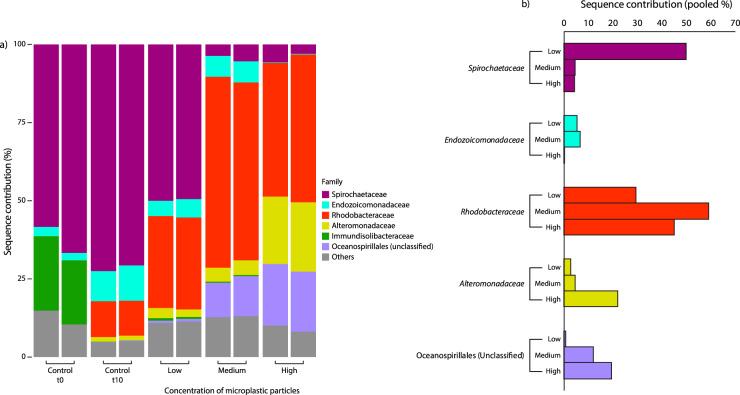 https://cdn.ncbi.nlm.nih.gov/pmc/blobs/7d0b/8010021/cf43808fb9b2/42003_2021_1961_Fig6_HTML.jpg