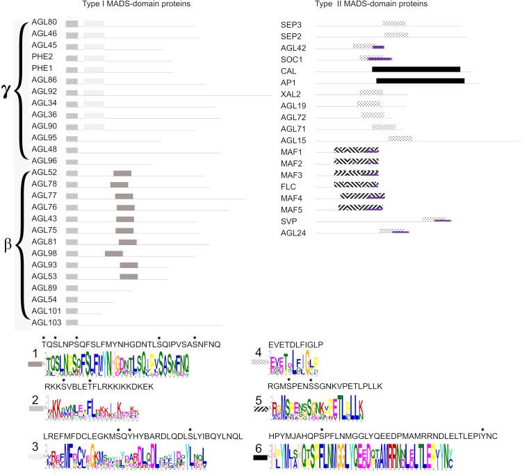 https://cdn.ncbi.nlm.nih.gov/pmc/blobs/7d0c/12373214/75949a3484fe/pone.0330098.g004.jpg