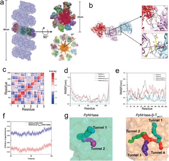 https://cdn.ncbi.nlm.nih.gov/pmc/blobs/7d0d/12005783/e303b58143e2/ADVS-12-2500405-g005.jpg