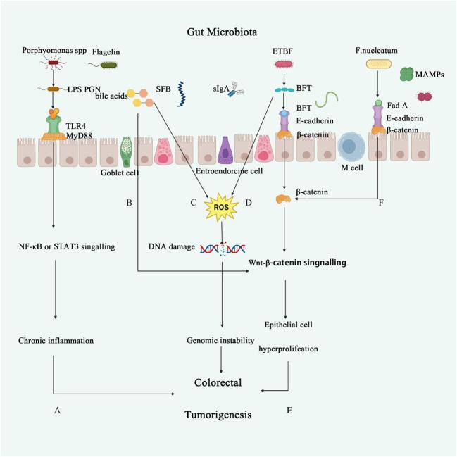 https://cdn.ncbi.nlm.nih.gov/pmc/blobs/7d10/11188355/66abbd128f95/fimmu-15-1410928-g001.jpg