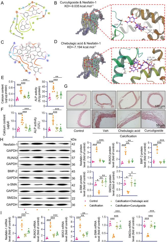 https://cdn.ncbi.nlm.nih.gov/pmc/blobs/7d11/11468037/407eaabeb368/12964_2024_1873_Fig7_HTML.jpg