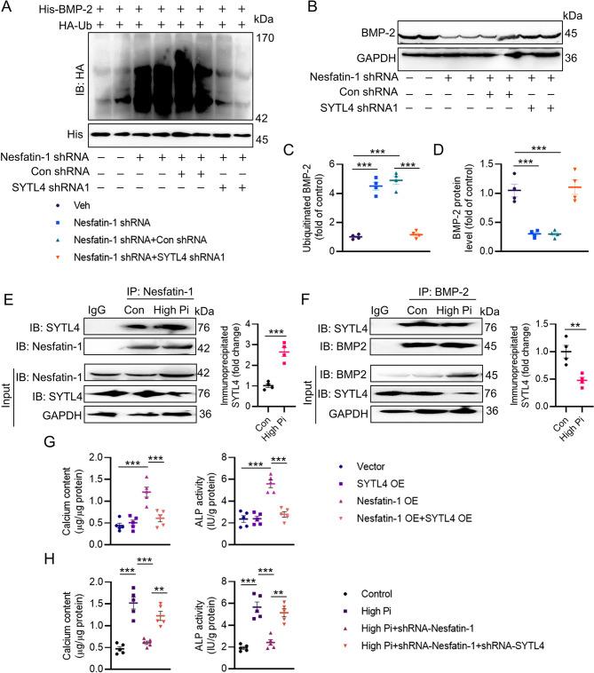 https://cdn.ncbi.nlm.nih.gov/pmc/blobs/7d11/11468037/459b0001e049/12964_2024_1873_Fig6_HTML.jpg