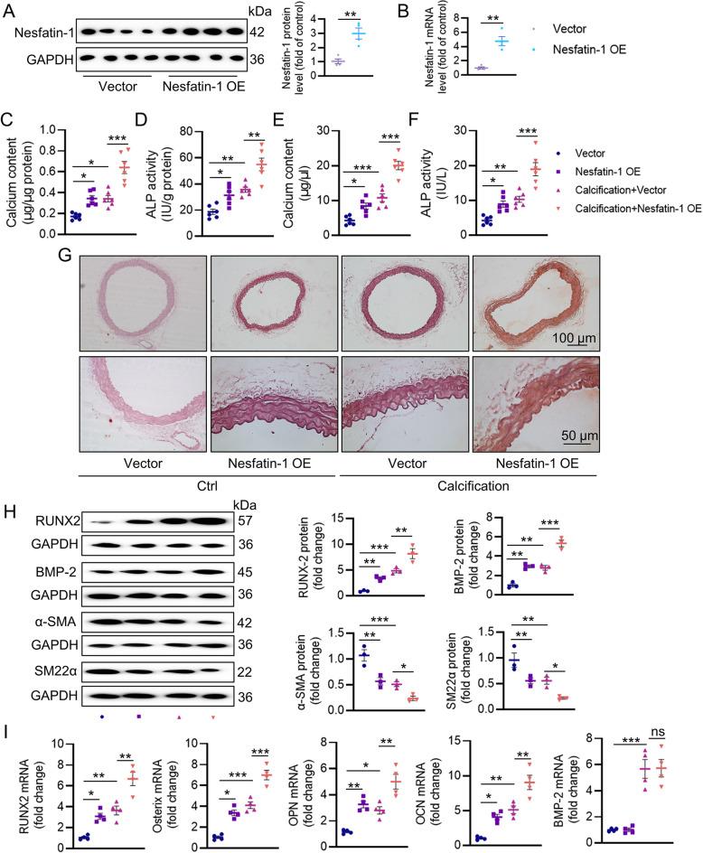 https://cdn.ncbi.nlm.nih.gov/pmc/blobs/7d11/11468037/aa68262c78b5/12964_2024_1873_Fig3_HTML.jpg