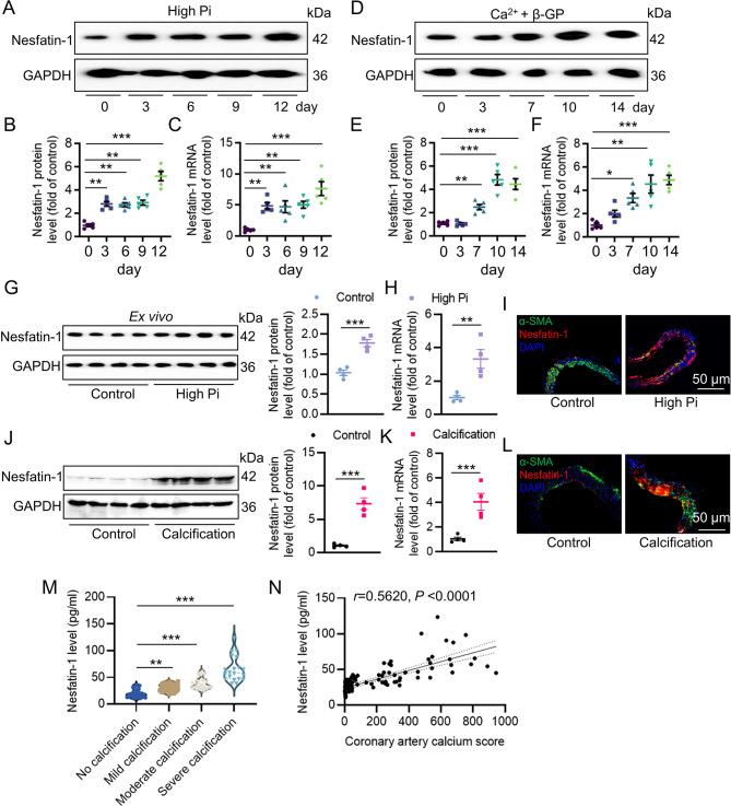 https://cdn.ncbi.nlm.nih.gov/pmc/blobs/7d11/11468037/cde55e16e5db/12964_2024_1873_Fig1_HTML.jpg