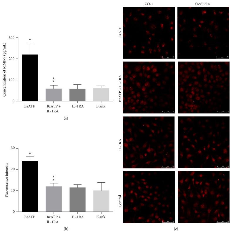 https://cdn.ncbi.nlm.nih.gov/pmc/blobs/7d11/5067334/a90f71f04e51/NP2016-8928530.003.jpg