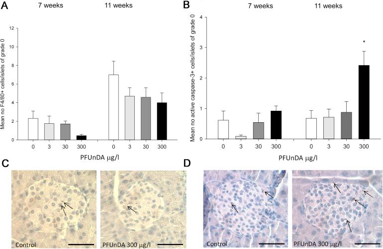 https://cdn.ncbi.nlm.nih.gov/pmc/blobs/7d11/5616085/0705c34c56aa/gr2.jpg