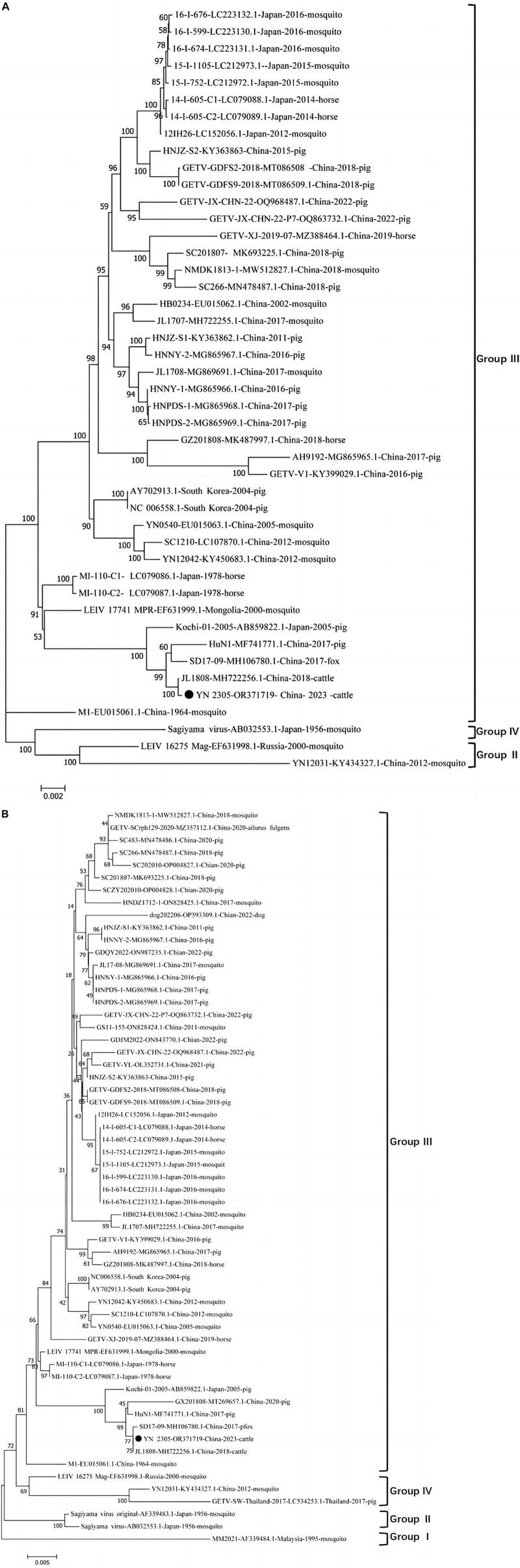 https://cdn.ncbi.nlm.nih.gov/pmc/blobs/7d12/10755881/4323b1691d42/fmicb-14-1309650-g001.jpg