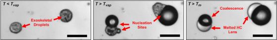 https://cdn.ncbi.nlm.nih.gov/pmc/blobs/7d17/12334861/4f391cd03cb2/MP-52-0-g001.jpg