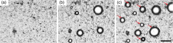 https://cdn.ncbi.nlm.nih.gov/pmc/blobs/7d17/12334861/7256c482567f/MP-52-0-g003.jpg