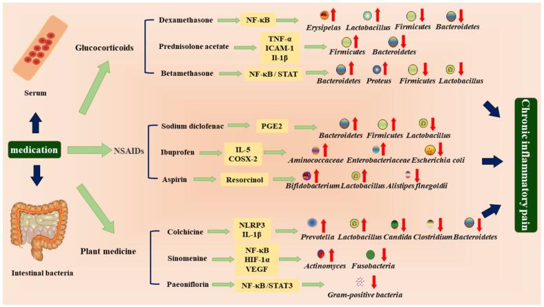 https://cdn.ncbi.nlm.nih.gov/pmc/blobs/7d1a/9340317/a50850da2f6f/10.1177_20406223221091177-fig3.jpg