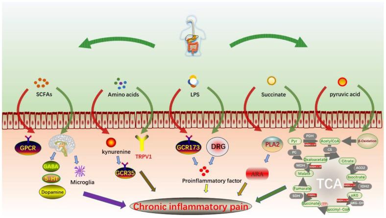 https://cdn.ncbi.nlm.nih.gov/pmc/blobs/7d1a/9340317/b4ef0d676297/10.1177_20406223221091177-fig2.jpg