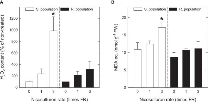 https://cdn.ncbi.nlm.nih.gov/pmc/blobs/7d1a/9852854/73c57583ea7d/fpls-13-1040456-g001.jpg