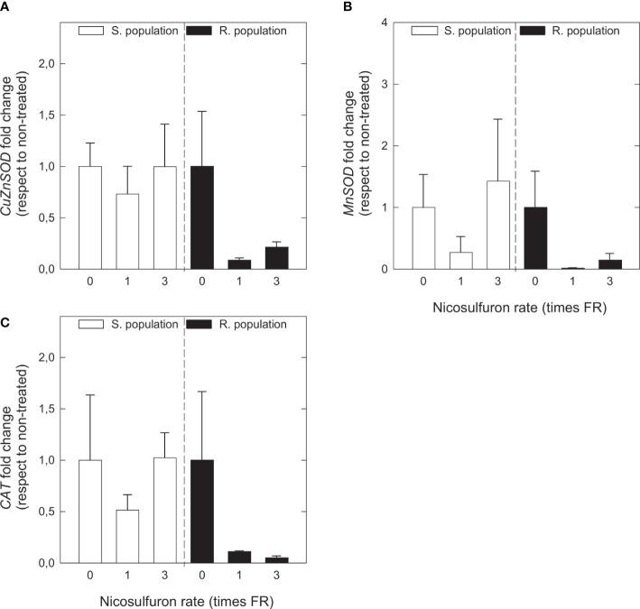 https://cdn.ncbi.nlm.nih.gov/pmc/blobs/7d1a/9852854/8a6f9784ab9f/fpls-13-1040456-g005.jpg