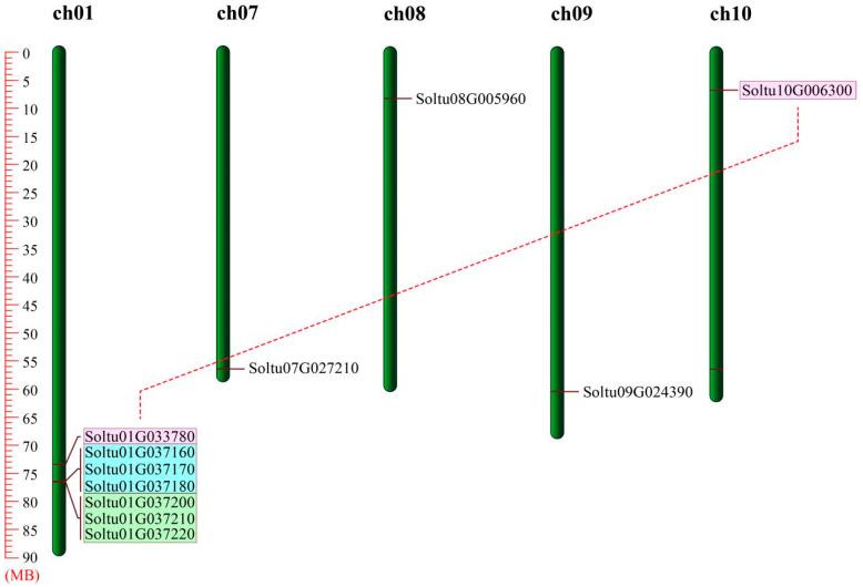 https://cdn.ncbi.nlm.nih.gov/pmc/blobs/7d1f/11641898/9b0d18a0902e/ijms-25-13170-g002.jpg